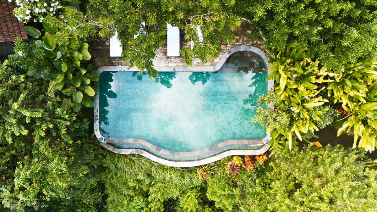 Drone view of a curved infinity pool surrounded by dense tropical canopy